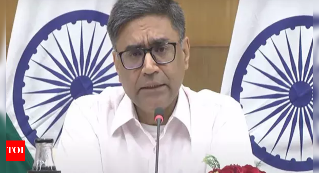 India helping Maldives stabilise its 'stressful financial' situation: Foreign secretary Misri