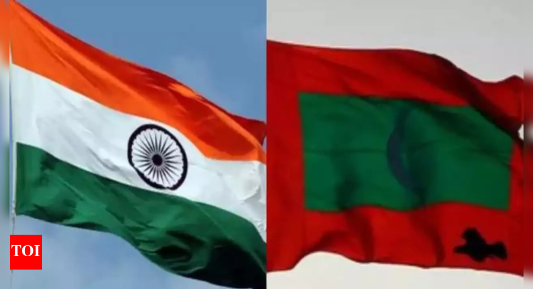 Maldives in discussion with India to pay in local currency for imports: Minister