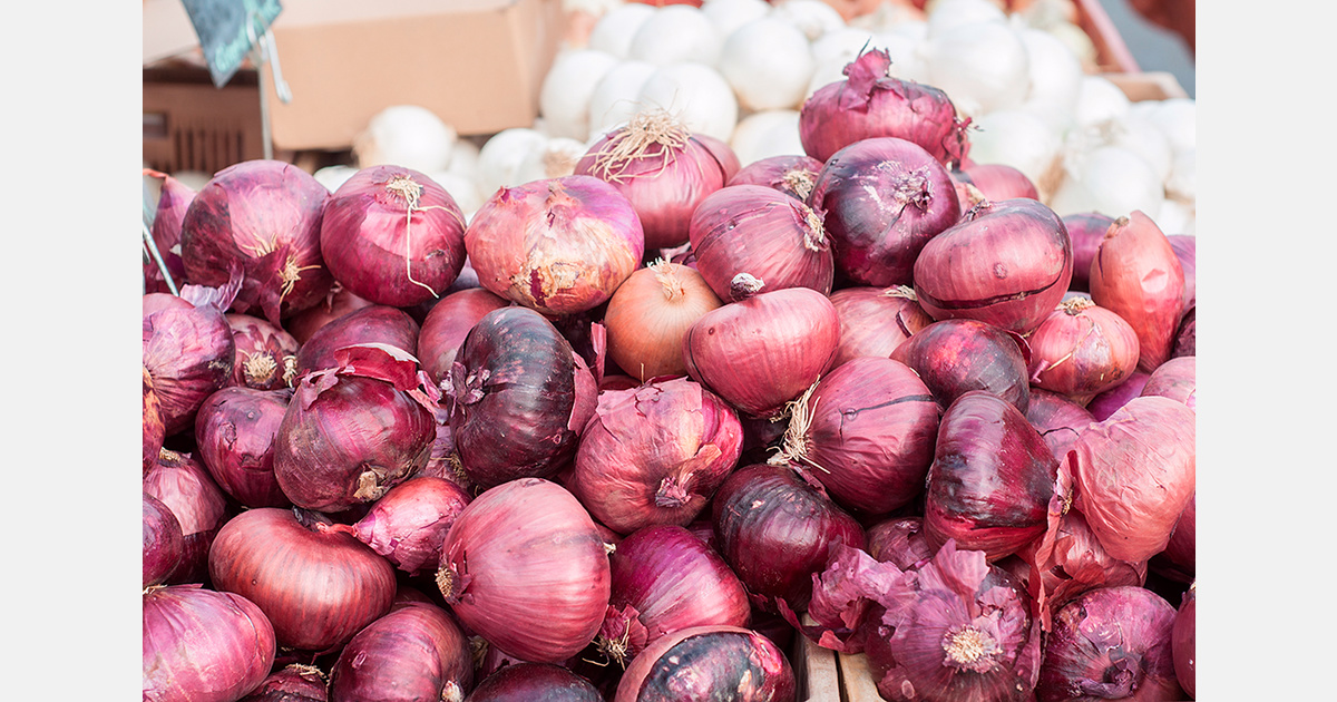 Maldives excluded from India's onion export permit list